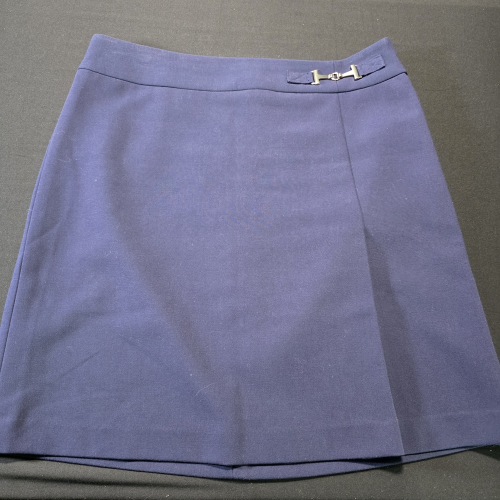 The Limited Navy Mini Skirt (Lined) with Gold Accent, Size 6